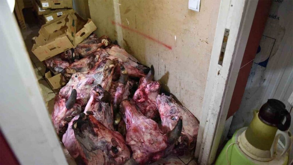 Market denetiminde rezalet: Yumurtadan hamam böceği, depodan bozuk et çıktı