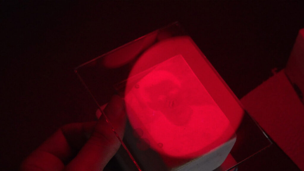 Dayanışma ses veriyor: Özgürlük, bellek, direniş…