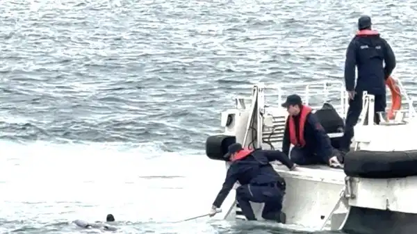İstanbul Boğazı’nda erkek cesedi bulundu: Kayıp Rus yüzücü mü?